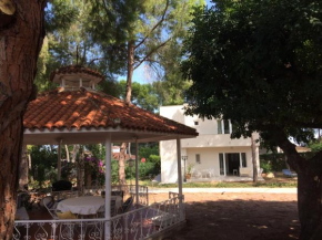 Casa Kiosco Bovenverdieping in L'Eliana